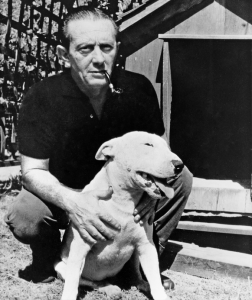 John Fante e il suo adorato bull terrier Rocco.